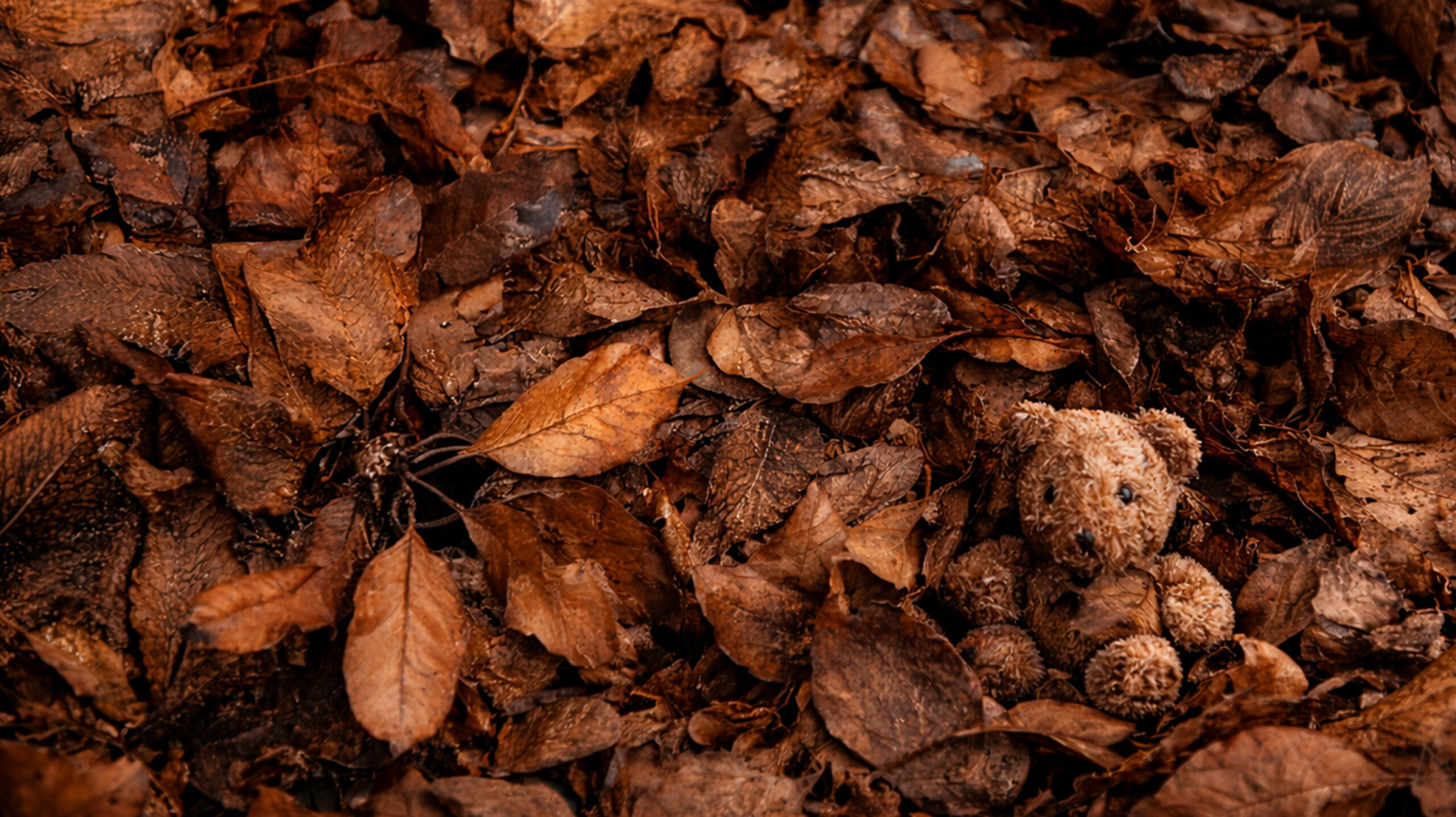 Samsung-SmartTag-16-9